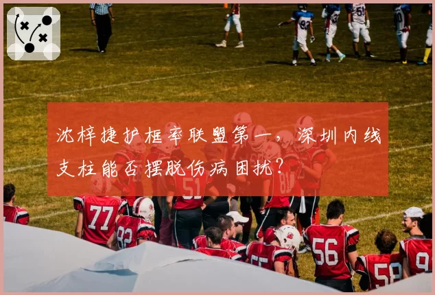 沈梓捷护框率联盟第一，深圳内线支柱能否摆脱伤病困扰？