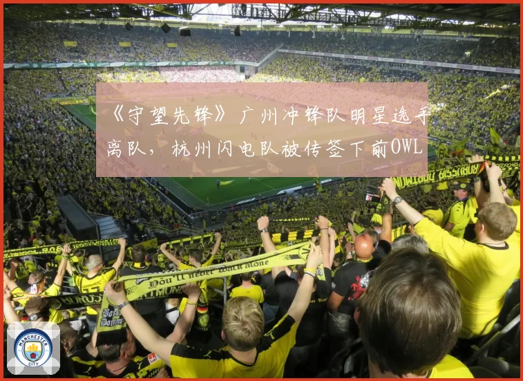 《守望先锋》广州冲锋队明星选手离队，杭州闪电队被传签下前OWL MVP
